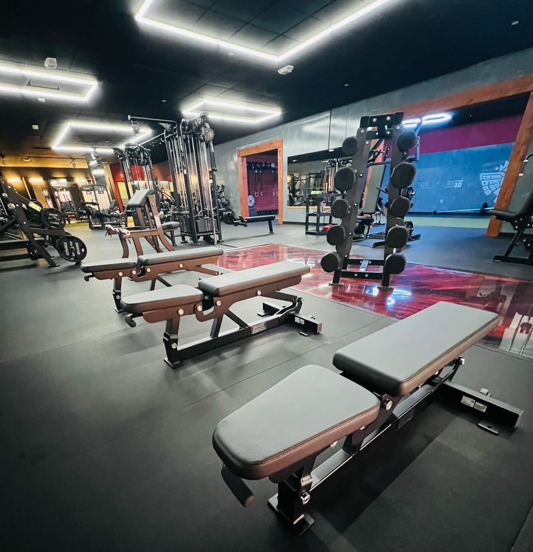 Strength training benches and dumbbells at Calle Strength House